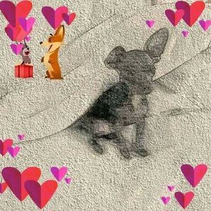 Meet your Posher, Rhonda